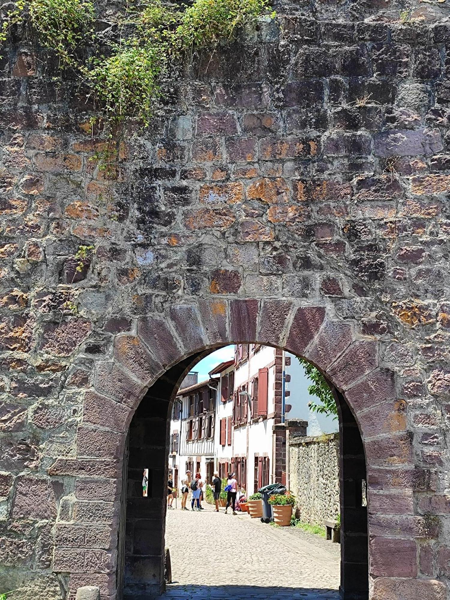 L'Auberge Du Pelerin - St Jean Pied De Port Saint-Jean-Pied-de-Port Exteriér fotografie